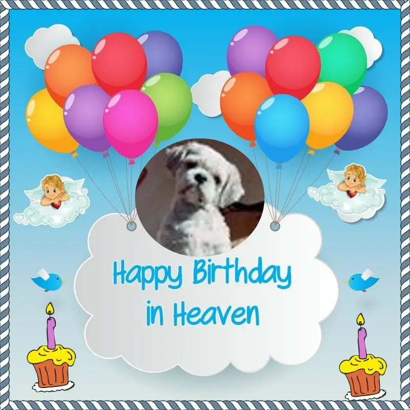 Condolence image of 22.Geburtstag❤️⭐️❤️