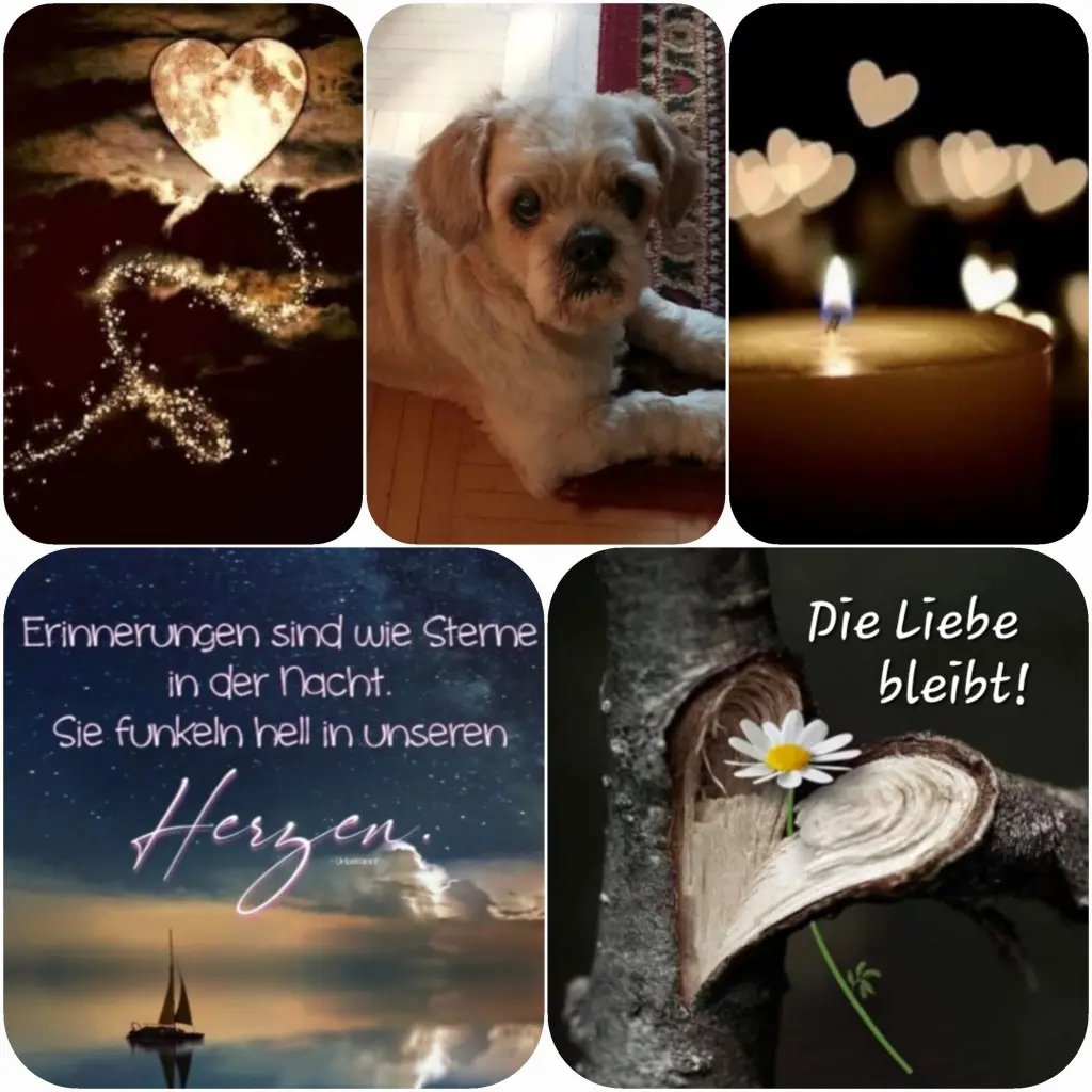 Condolence image of Birgit