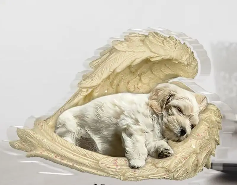 Condolence image of Ein Traum von Dir