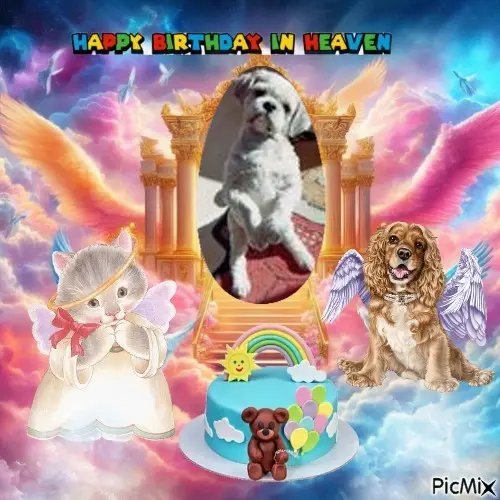 Condolence image of 23.Geburtstag❤️❤️❤️❤️❤️❤️❤️❤️❤️❤️❤️❤️❤️❤️❤️❤️❤️❤️❤️❤️❤️❤️❤️