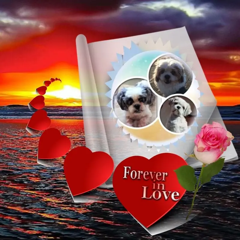 Condolence image of Pour mon Balou