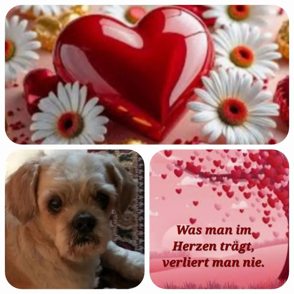 Condolence image of Birgit mit Cora tief im Herzen
