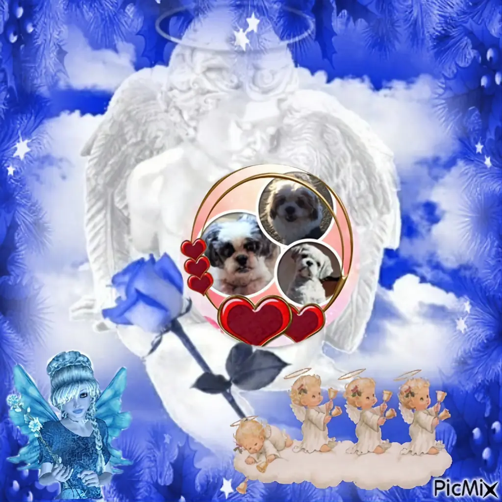 Condolence image of ❤️❤️❤️❤️❤️❤️❤️❤️❤️❤️❤️❤️