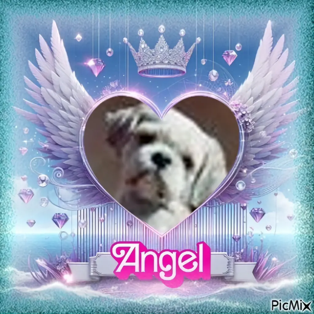 Condolence image of 8.Sternchen⭐️Gedenktag❤️❤️❤️❤️❤️❤️❤️❤️