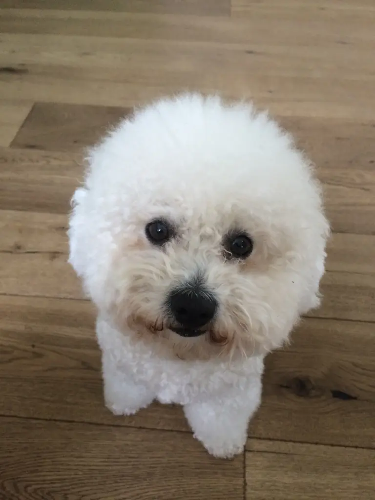 Image from Nelly