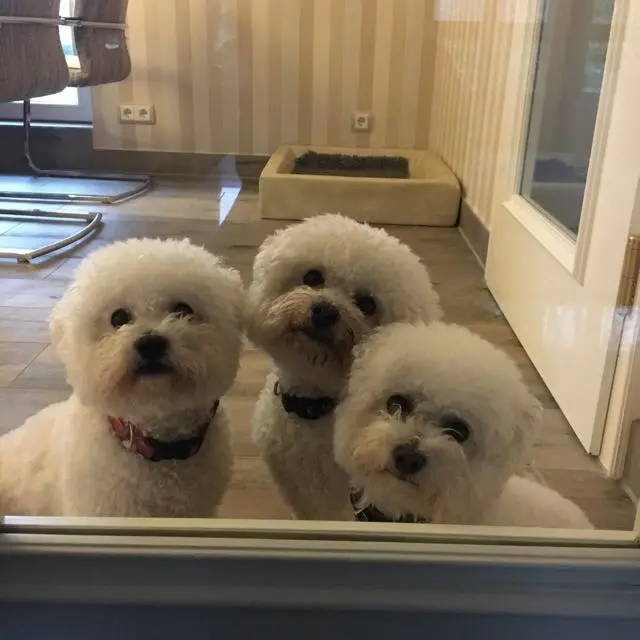 Image from Nelly