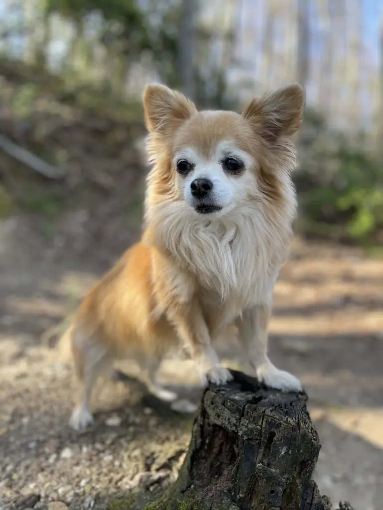 Image from Teddi