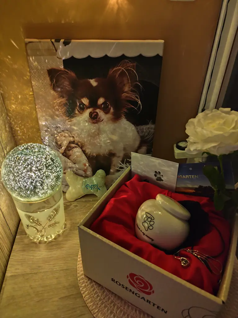 Image from Kira