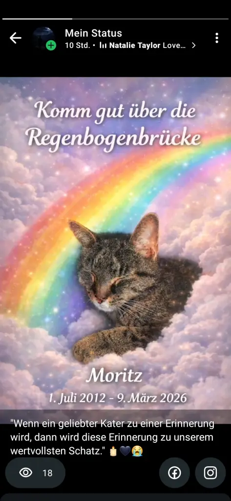 Image from Moritz