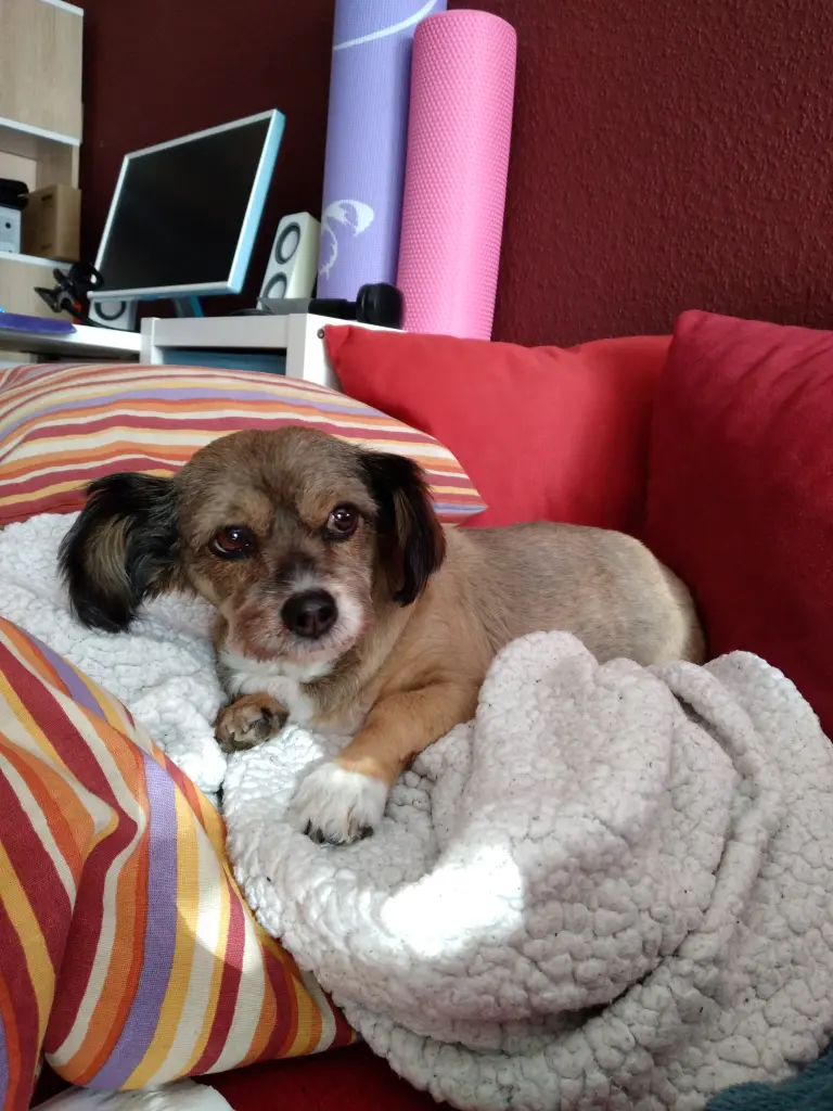 Bild von Leni