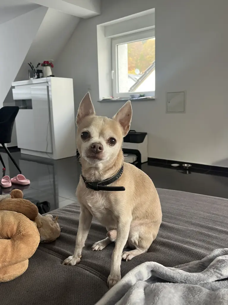 Image from Charlie