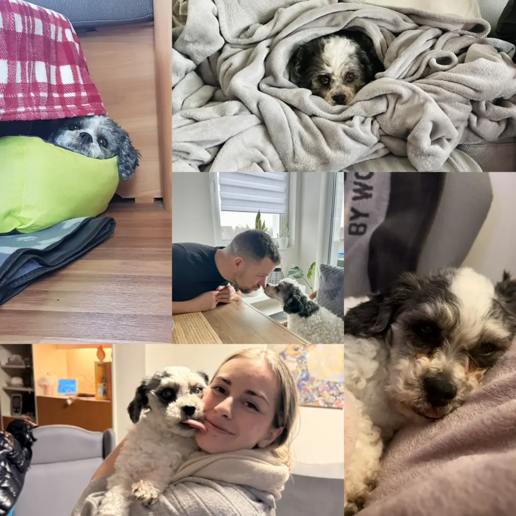 Kuschelmaus