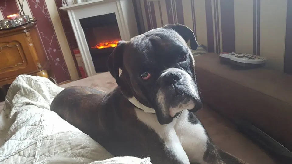 Condolence image of Andrea Wagner