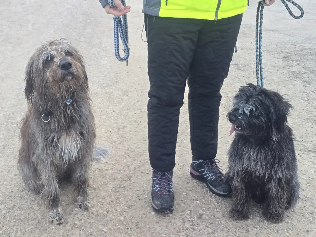 Condolence image of Steffi H.