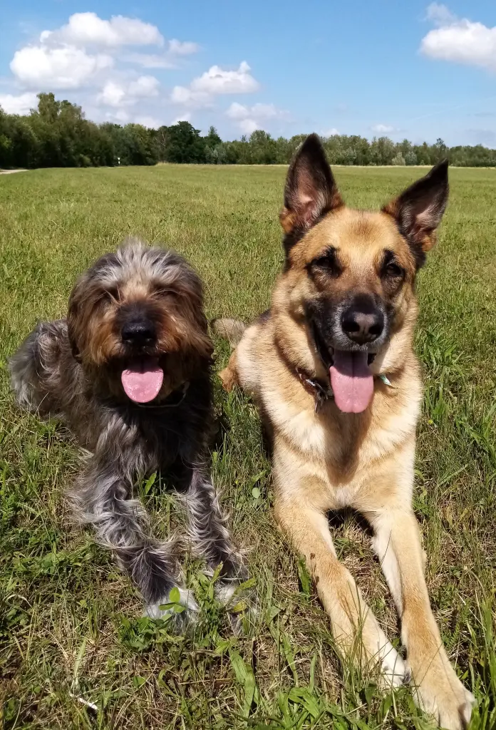 best friends!
Jetzt vielleicht wieder zusammen!