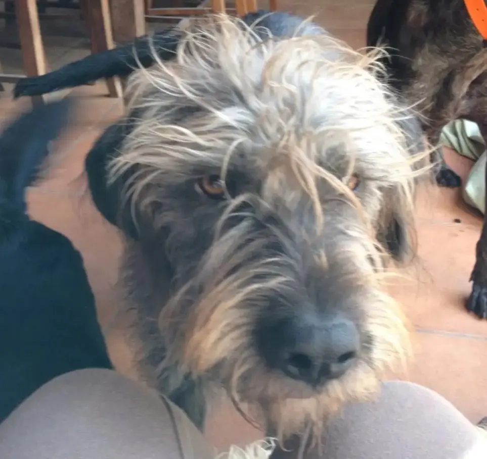 Stundenlang hättest Du so stehen bleiben können, Hauptsache bei uns!