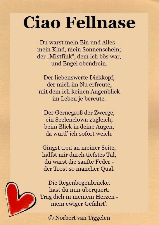 Condolence image of Ludmilla Lebus