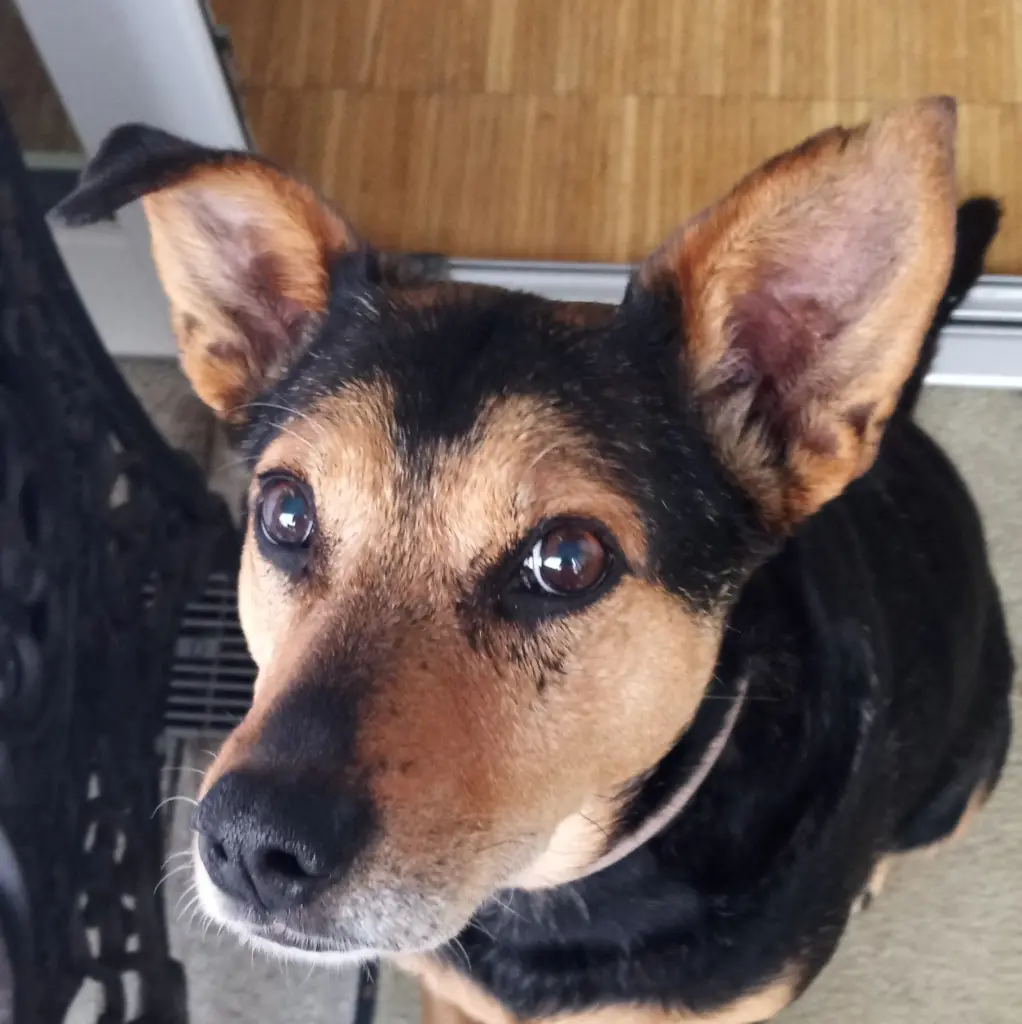 Condolence image of Natalie Celeste