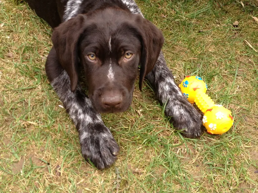 Der erste Tag bei uns