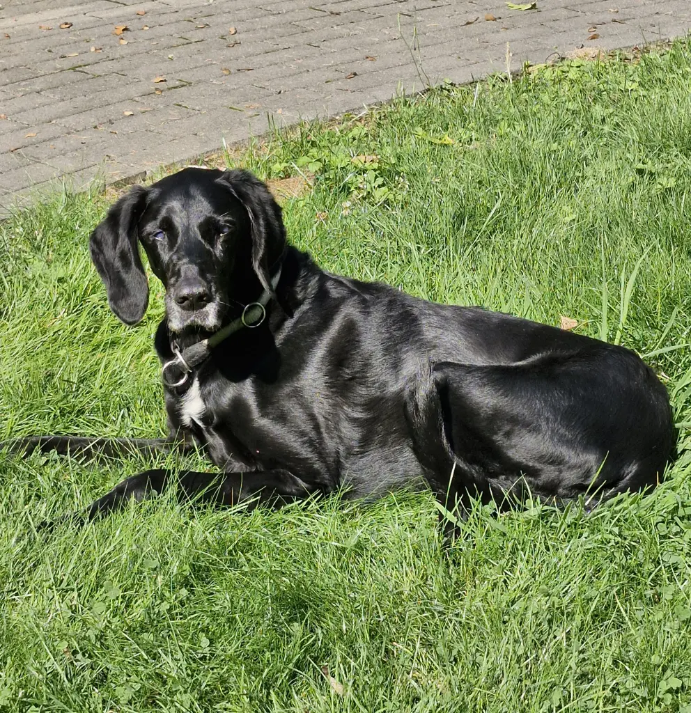Bild von Lucky