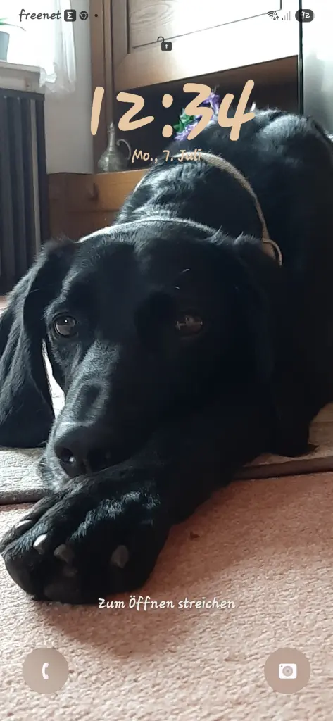 Bild von Lucky