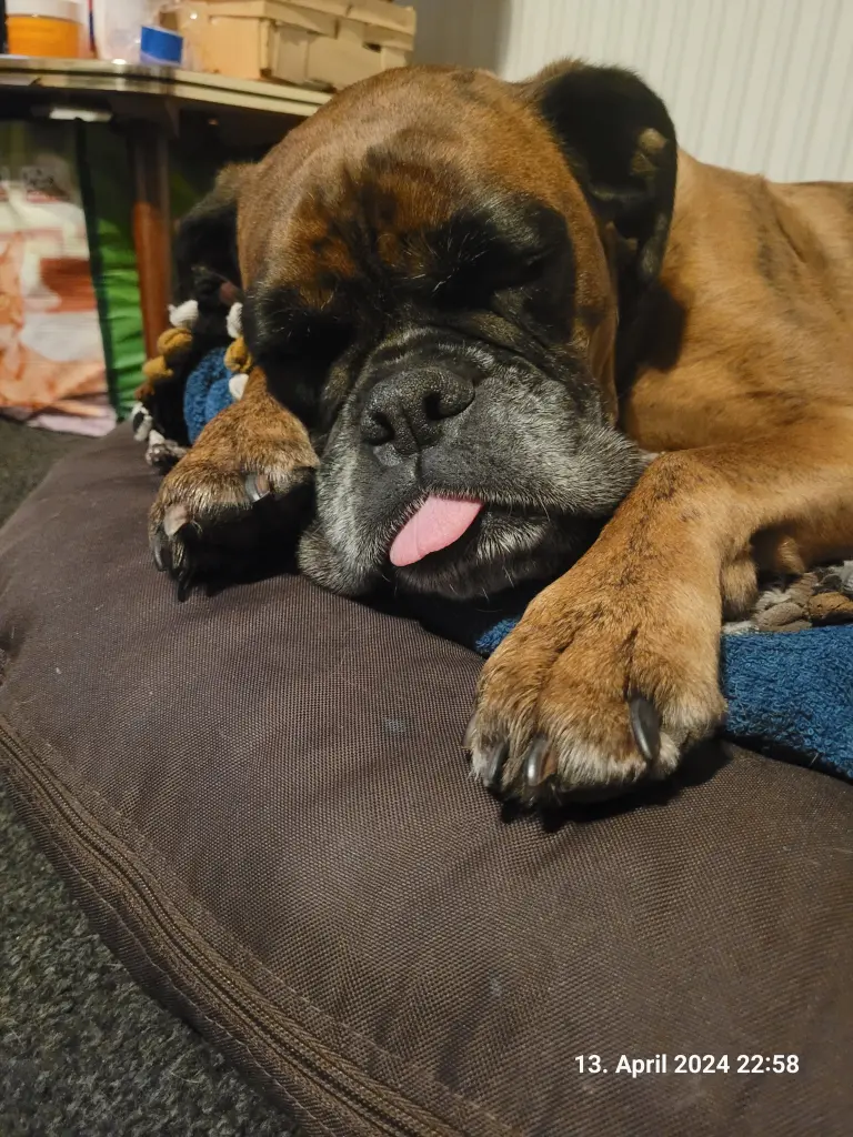 Condolence image of A. K.