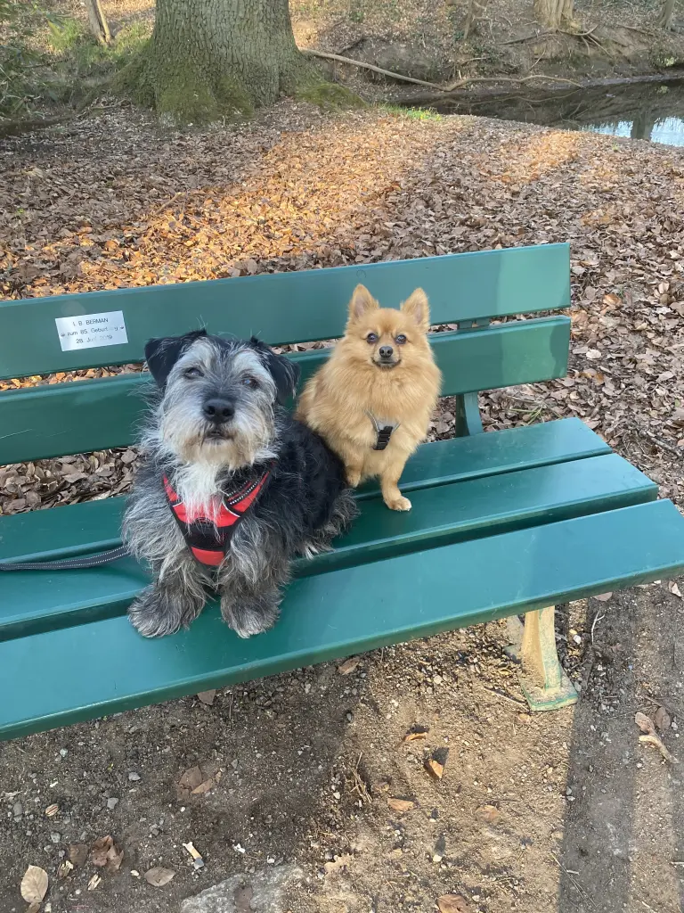 Condolence image of Despina Berg