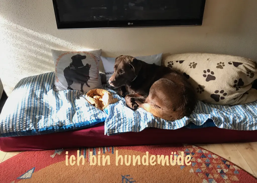 Image from Quendor