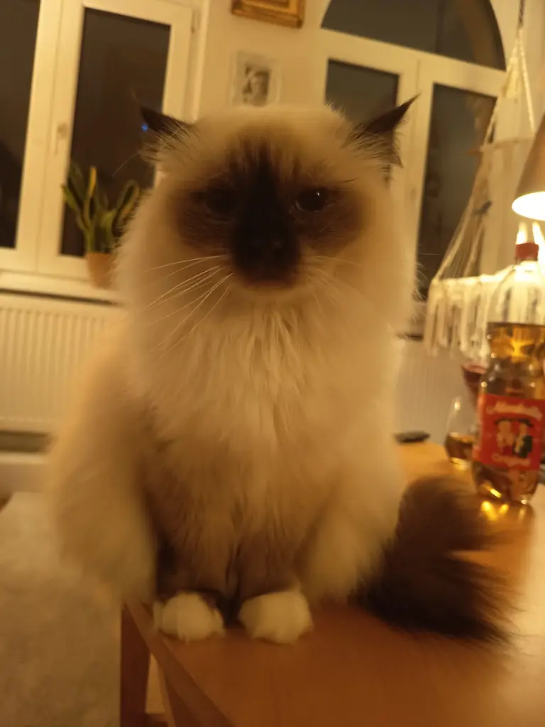 Condolence image of Sandra Hull