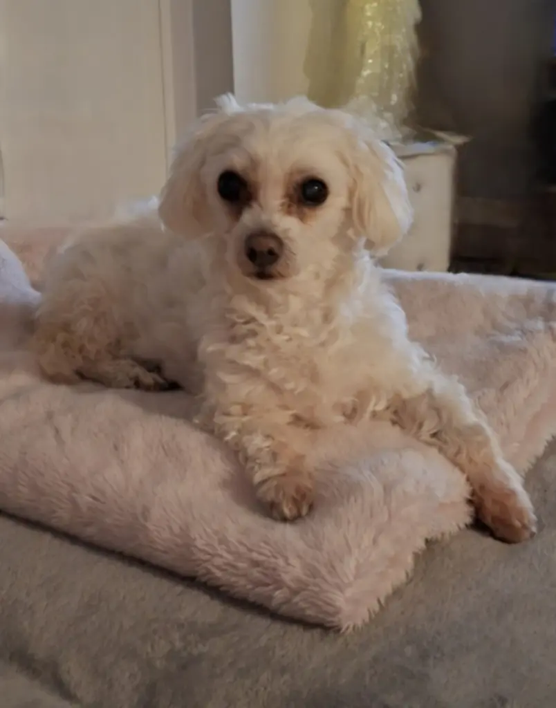 Image from ♡Girly♡