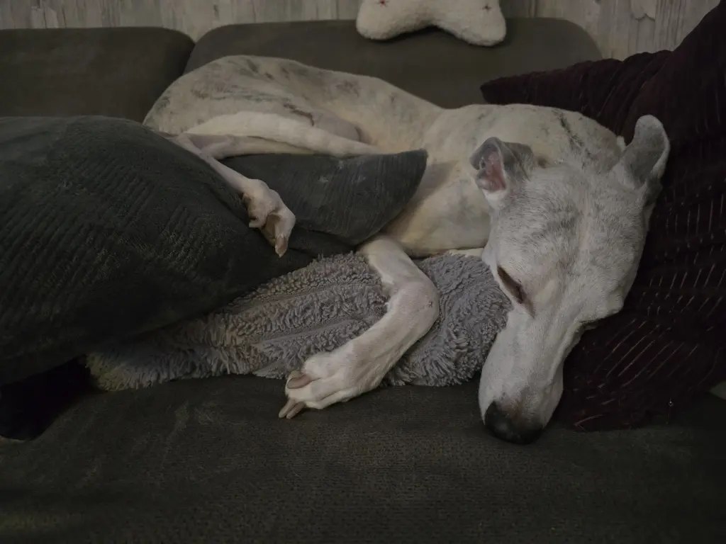 Andachtsbild von Marcus