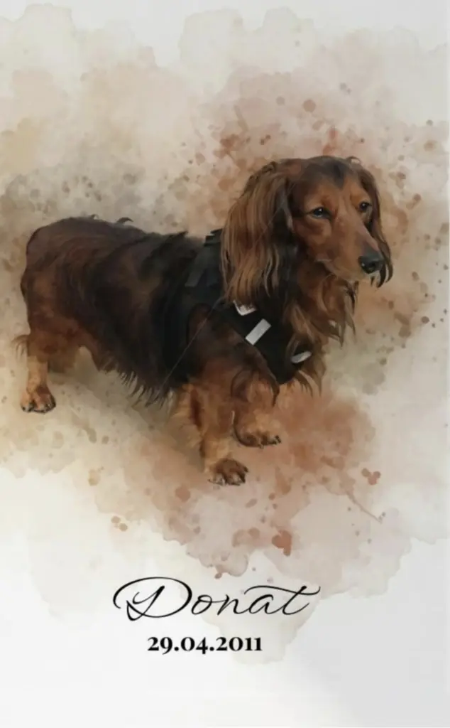Condolence image of Christine Brommer
