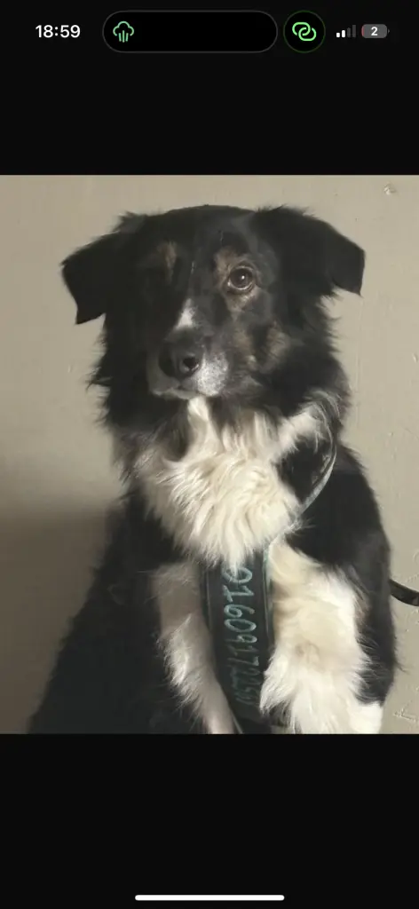 Image from Kyra-Frau Feini