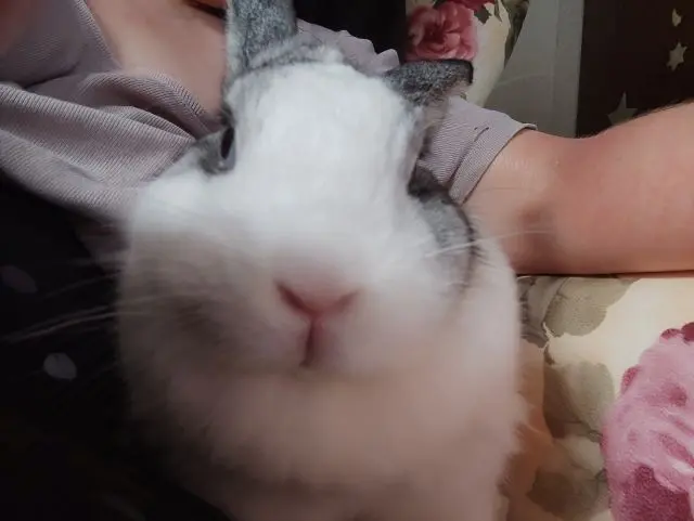 Krimi gucken mit Mama