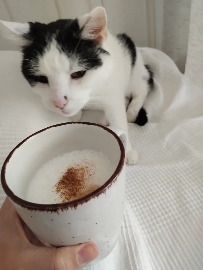 Ein schöner Start in den Tag