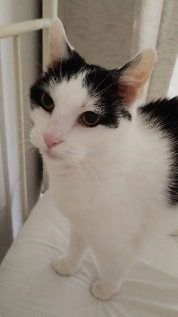 Immer füreinander da