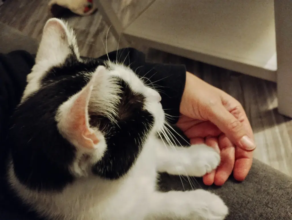 Zusammenhalt für immer