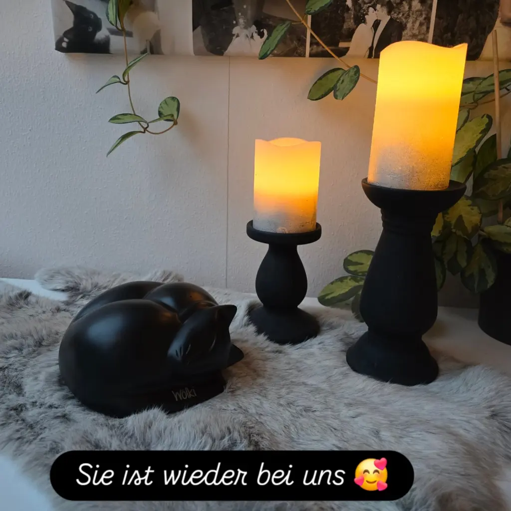 Andachtsbild von Dany