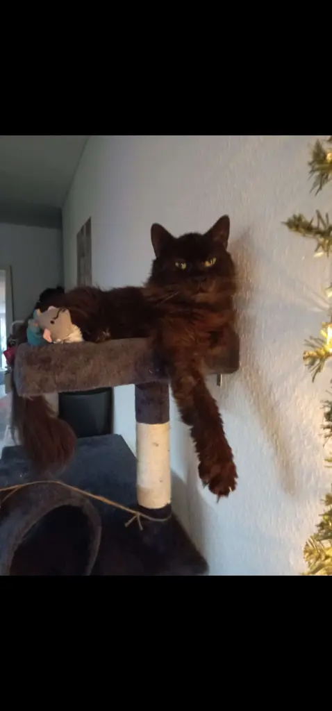 Andachtsbild von Dustin Schöll