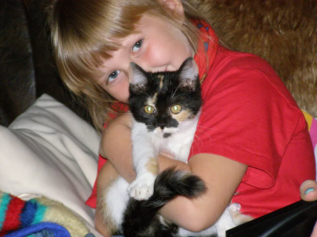 Image from Katinka
