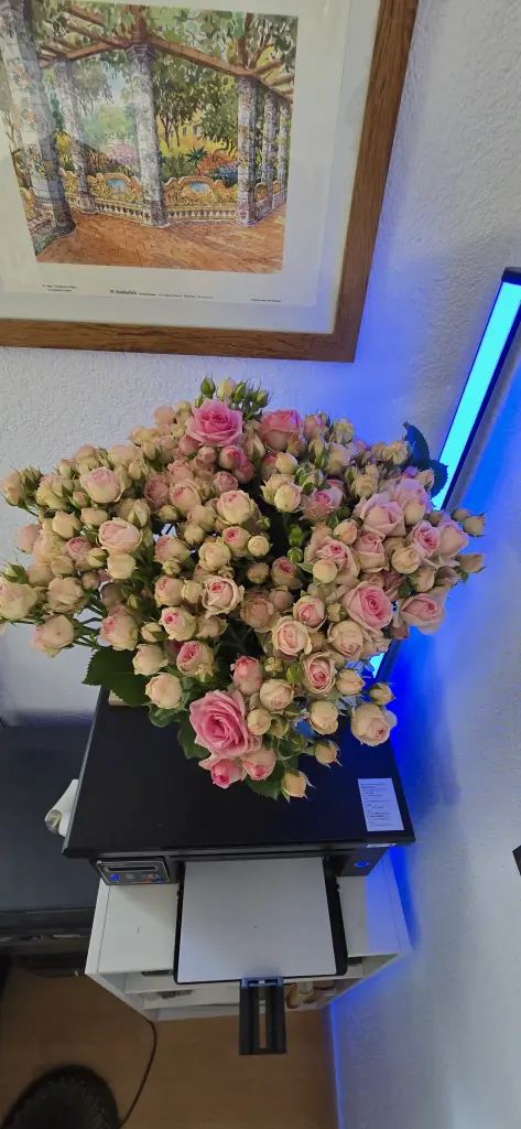 Condolence image of Joanna Feuerbacher