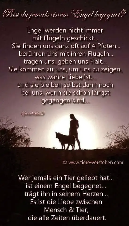 Condolence image of Konny mit Piccolino-Fly tief im ❤️