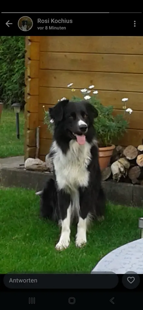 Bild von Toni