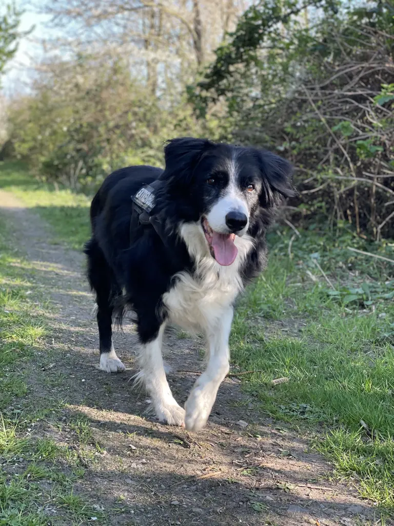 Andachtsbild von Svenja