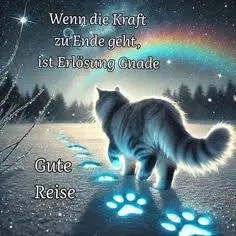 Condolence image of Sonja