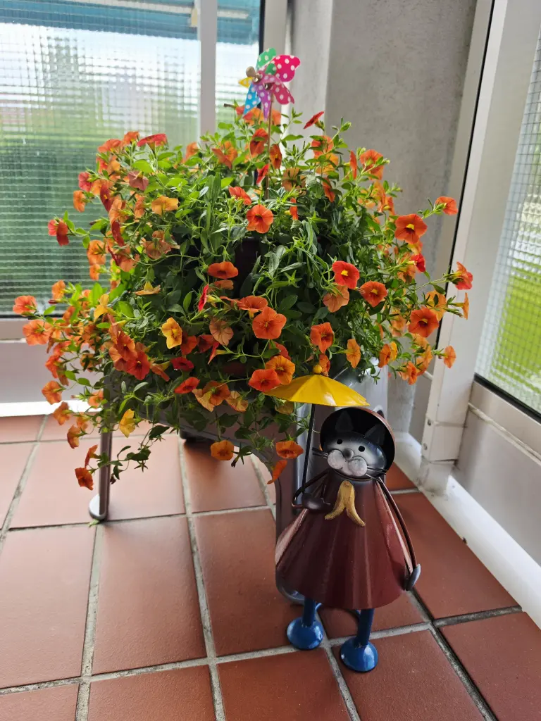 Condolence image of dein Frauchen
