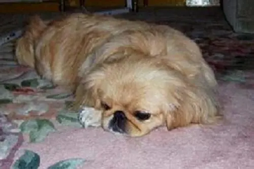 Image from - meine perfekte Sina -