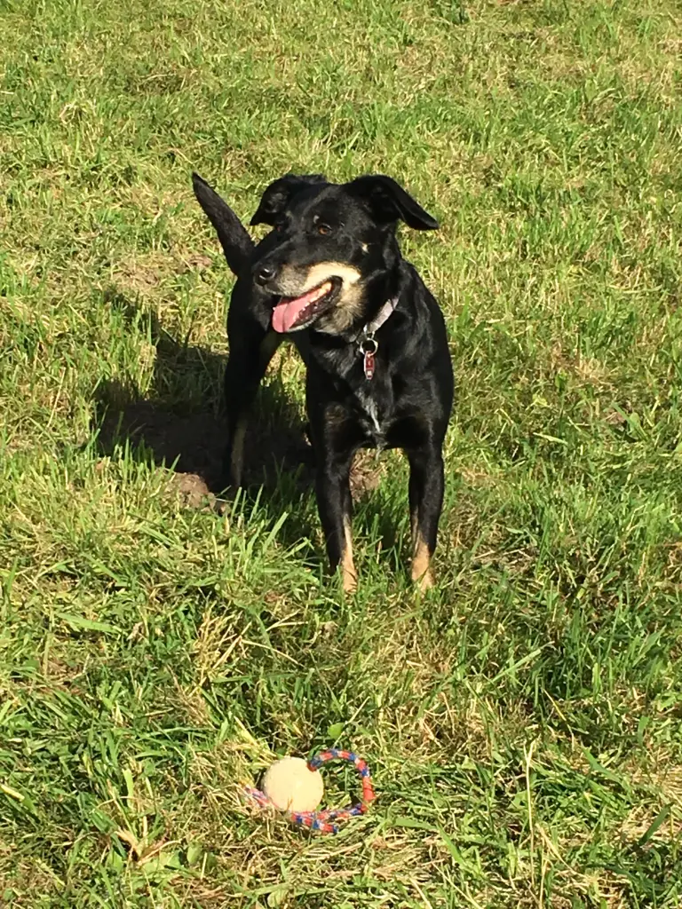 2015 Ballspiel am Weserdeich