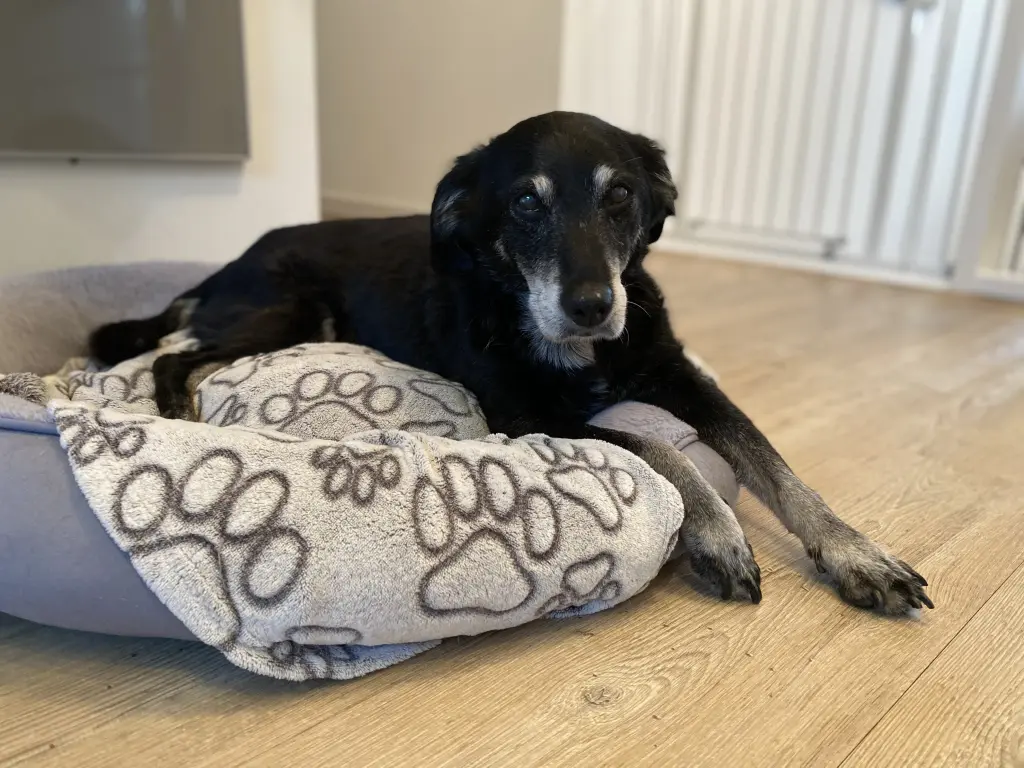 am Morgen vor dem Abschied