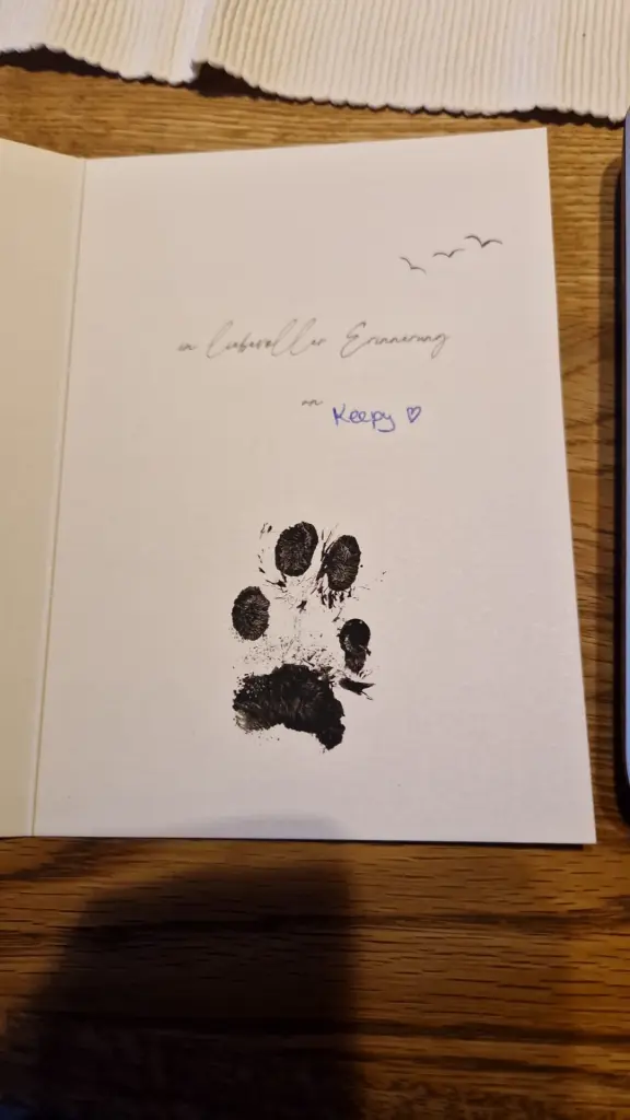 Image from Keepy